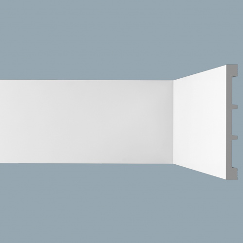 М20 Молдинг XPS BD (100*10)/22