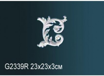 G2339R Фрагмент орнамента